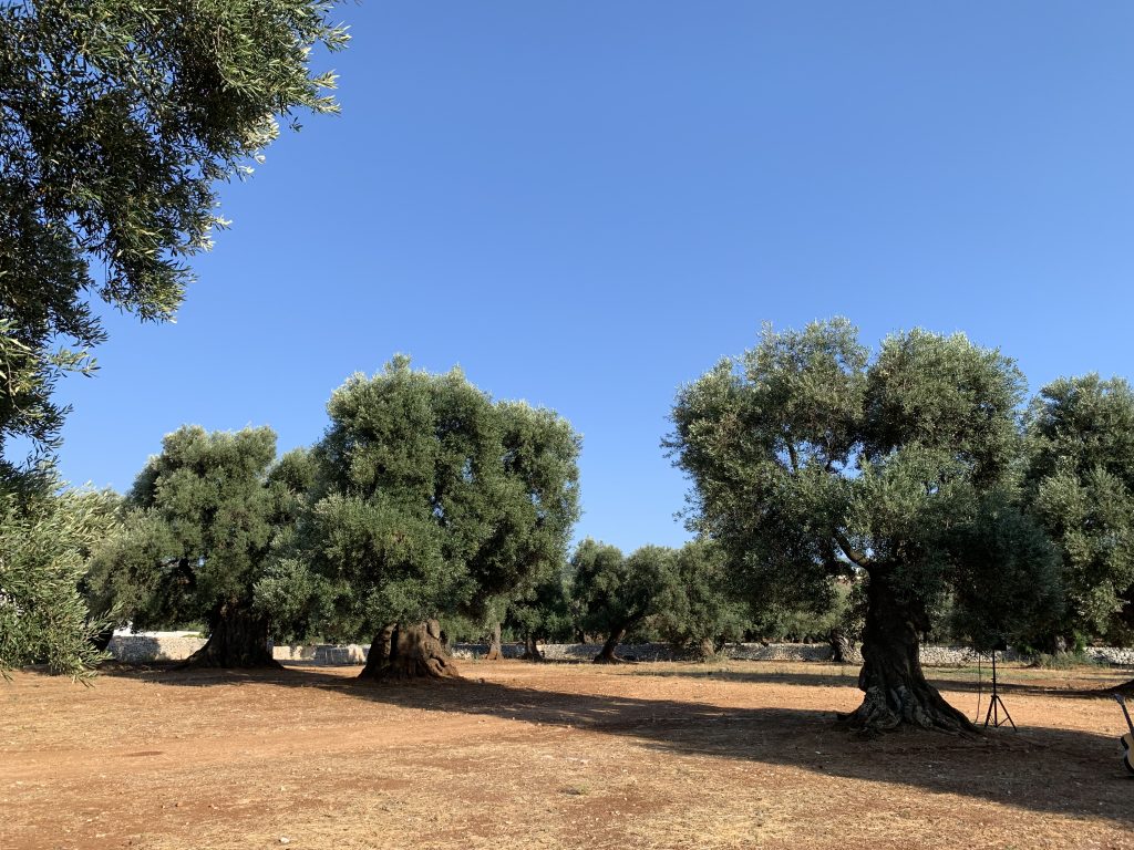 Puglia