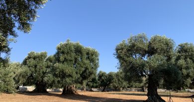 Puglia