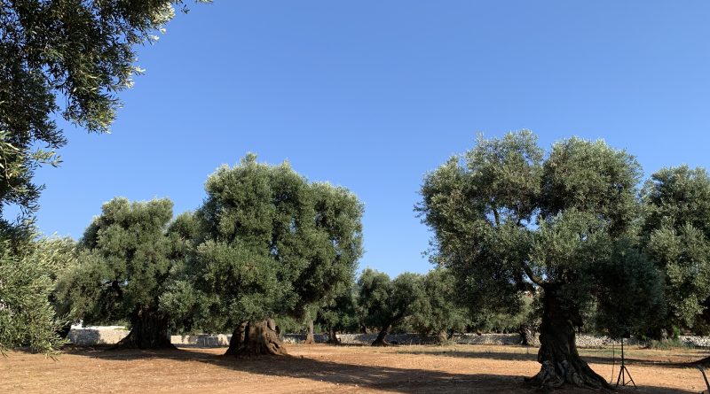 Puglia