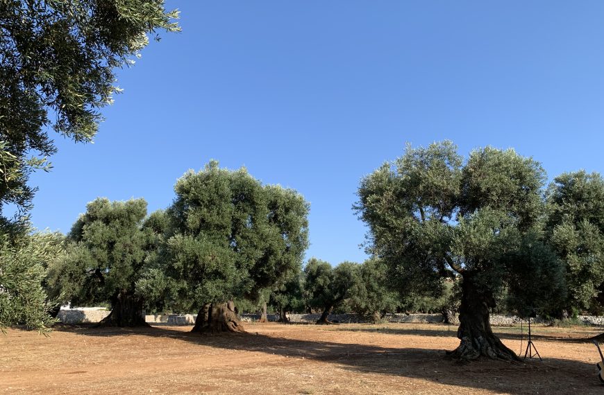 Puglia